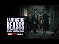 Fantastic Beasts and Where to Find Them - review by James Richardson