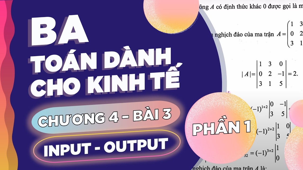 BA - TOÁN DÀNH CHO KINH TẾ - CHƯƠNG 4 - BÀI 3 - INPUT-OUTPUT (PHẦN 1 ...