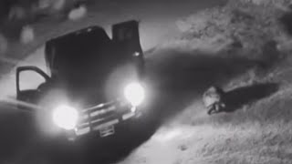 Giant tortoise crushed by would-be thieves in Laveen
