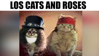 EPIC MEMES #260