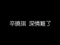 辛曉琪 深情難了 無損音樂FLAC 歌詞LYRICS 純享 