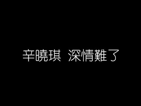 辛曉琪   深情難了 無損音樂FLAC 歌詞LYRICS 純享
