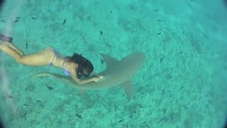 Woman Swims With Shark