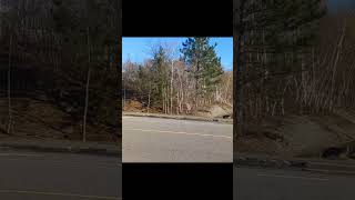 Sunny Day