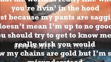 Brad Paisley Feat LL Cool J- Accidental Racist (With Lyrics)
