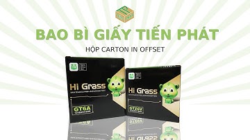 Quy trình sản xuất hộp carton in offset chất lượng cao tại TPHCM