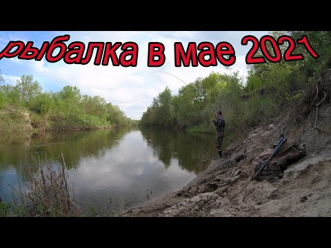 Рыбалка 14 мая  на реке.  Разведка новых мест.Ловля плотвы , густеры , голавля.