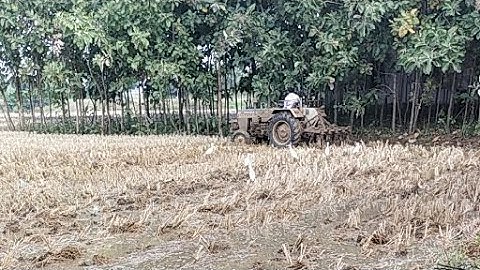 Swaraj Tractor with out wheels Cultivating Video || SRIKANTH PS