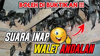 SUARA INAP WALET ANDALAN (SI) TERBAIK