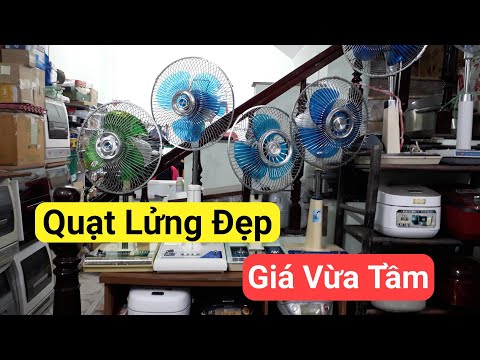 🎉 Quạt Đẹp