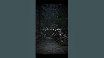 تلاوة هادئة تريح الأعصاب بصوت خاشعة هادئة تقشعر له الأبدان🍃  #القارئ_حمزة_بوديب 💙