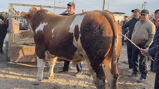 видео: ГИГАНТ БУКАЛАР САВДОСИ 26-ОКТЯБР БОЗОР ТУ́ЛИБ КЕТДИ УРГАНЧ МОЛ БОЗОРИ !!! ХОРАЗМ БОЗОР  картинка: ГИГАНТ БУКАЛАР САВДОСИ 26-ОКТЯБР БОЗОР ТУ́ЛИБ КЕТДИ УРГАНЧ МОЛ БОЗОРИ !!! ХОРАЗМ БОЗОР