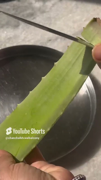 Aloveera jel |Easy & fast home made aloverajel #aloveraplant#shorts #trendingshorts #naturalgel