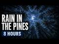 Rain Through Forest Canopy 🌧️ Deep Sleep Rain Sounds Beneath Tall Pines | 8 Hours