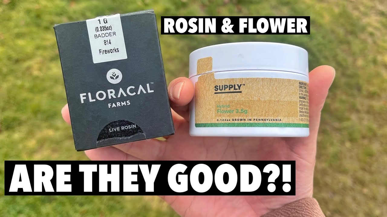 Are Crescos Other Brands Worth It?