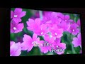 上々颱風「菜の花畑でつかまえて」を歌ってみた