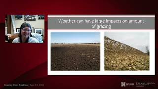 Grazing Corn Residue Determining Stocking Rates and Agronomic Impacts