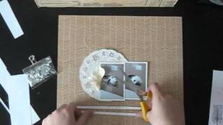 SAZ Video-Tutorial Sommer 2011