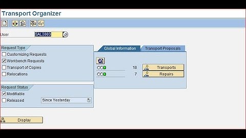 5. Sap Easy Access | How to Create/Delete TR? | Types of TR? | Transport Layer & Its Route?