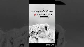 Download Lagu sakoka#poetry#bestpoetry#🥀💔 #samshorts MP3