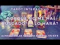 ✨Porque No me Ha Buscado?... Lo Hará? 🕵🏻‍♀️💥 Almas Gemelas/Ex's 🔥 Tarot Interactivo✨