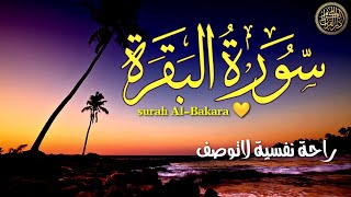 سورة البقرة كاملة ♥️ لتحصين المنزل وجلب البركة?وقضاء الحوائج surah Al-Bakara? تلاوة هادئة تريح النفس