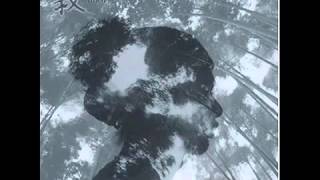 DJ Krush (ft. Shinichi Kinoshita) - Beyond Raging Waves
