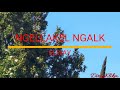 NGELLAKEL NGALEK NGELLAKEL NGALEK