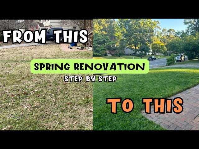 DIY Stages  for Rejuvenating  Old  Grass thumbnail