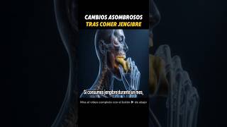 ¿Qué pasa en tu cuerpo al comer jengibre?