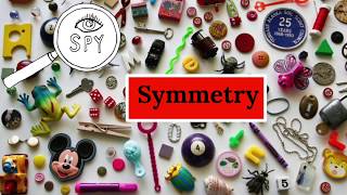 I Spy Symmetry screenshot 3