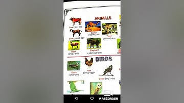 SSVM RENGALI CLASS 1 ENGLISH ANIMALS AND BIRDS