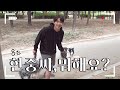 HJ CHANNEL(현중채널) - 8화 현중씨, 뭐해요?