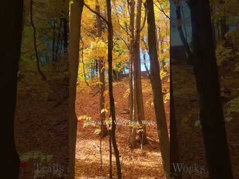 Vídeo: Os melhores lugares para ver a folhagem de outono em Quebec