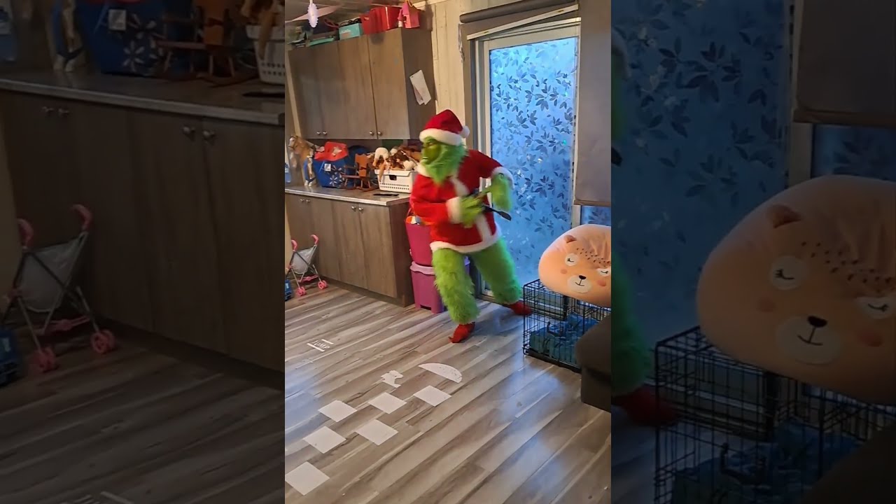 The Grinch Steals A Christmas Tree ViralHog
