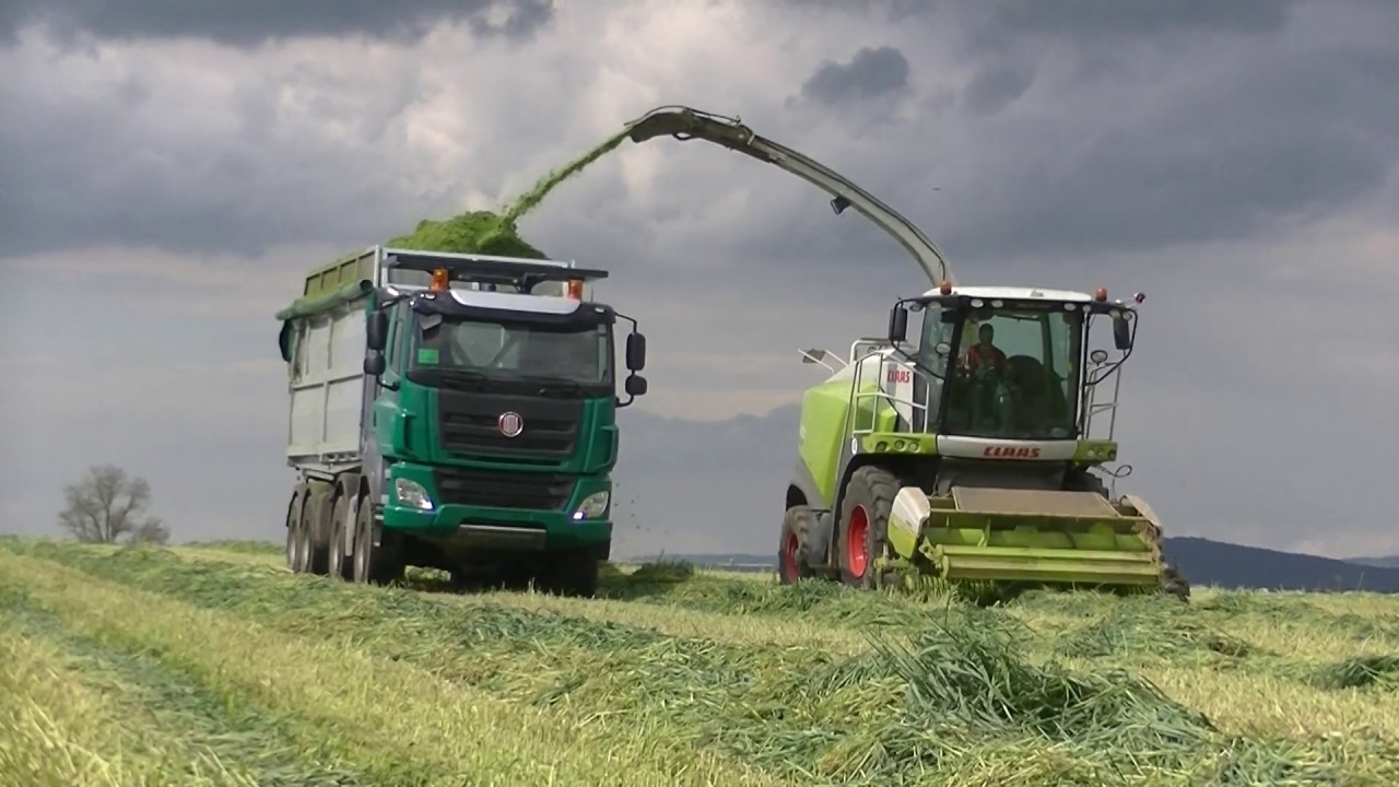 Sklizeň Žita s Claas Jaguar 870
