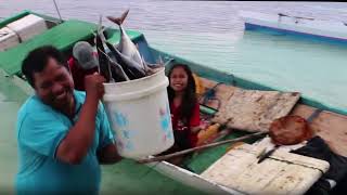 Saving the Giant Manta Ray