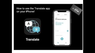 How to use the Translate app on your iPhone