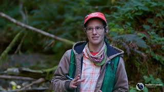 Resilient Careers in Forestry    Career Video   Forester