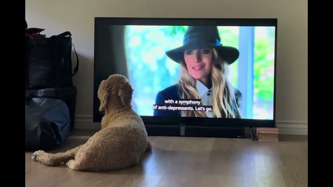 (Mostly) Eleanor Watching A Simple Favor (2018)