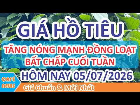 Giá hồ tiêu hôm nay ngày 05/07/2026 | Giá Tiêu Tăng Mạnh Nóng Bất Chấp Cuối Tuần