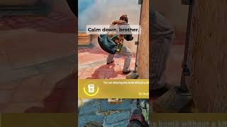 Calm down, brother. #csgo #funny #stream #gaming #3Tgm