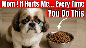 Never Do This When You Leave Your Dog Alone … You’re Hurting Them Without Knowing
