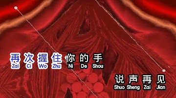 李进  《 你在他乡还好吗 》  ni zai ta xiang hai hao ma