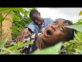 Sweetness Inside The Bush Yawaskits MrBeast Markangelcomedy Ogasabinus BrainJotterComedian Trending Sweetness Inside The Bush Yawaskits MrBeast Markangelcomedy Ogasabinus BrainJotterComedian Trending