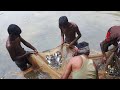 Traditional fishing in the Village / পুকুরে টানা জাল দিয়ে মাছ ধরার দৃশ্য