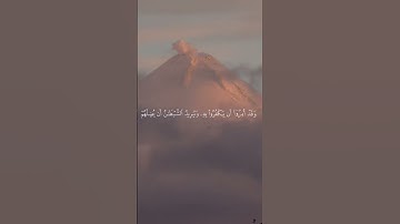 قراءة لسورة النساء 🤍 آيات من 60 الي 62 بصوت القارئ (سعد الغامدي) #صوت_جميل #قراءة_القرآن_الكريم