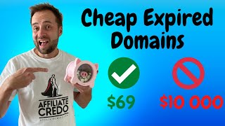 Buy Powerful Expired Domains for Cheap in 2024