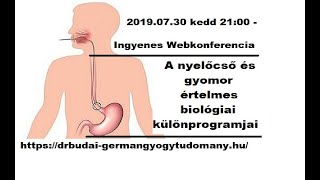 Nőgyógyászati, Szülészeti és Ultrahang Magánrendelő Debrecen - Dr. Zatik János