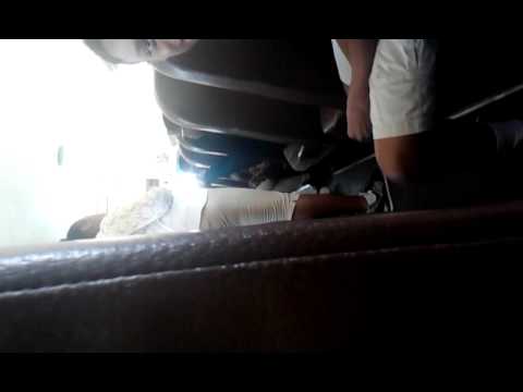 on bus gets fucked Girl